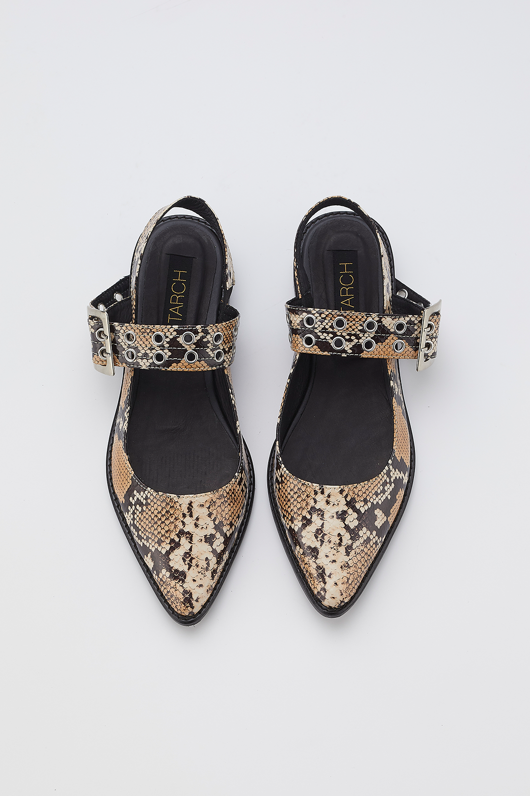 LIA WILD ** PRE ORDER**