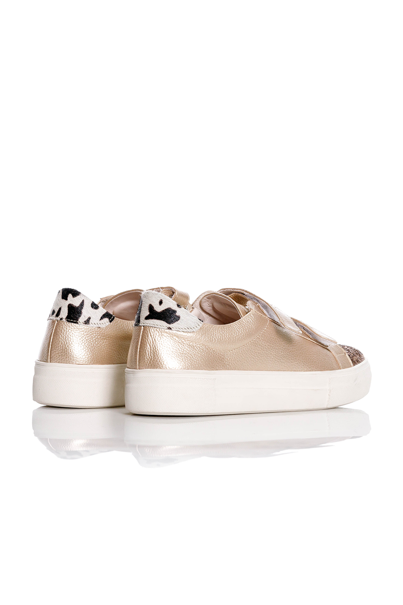 NOLITA DREAMS GOLD  "EDICION LIMITADA"