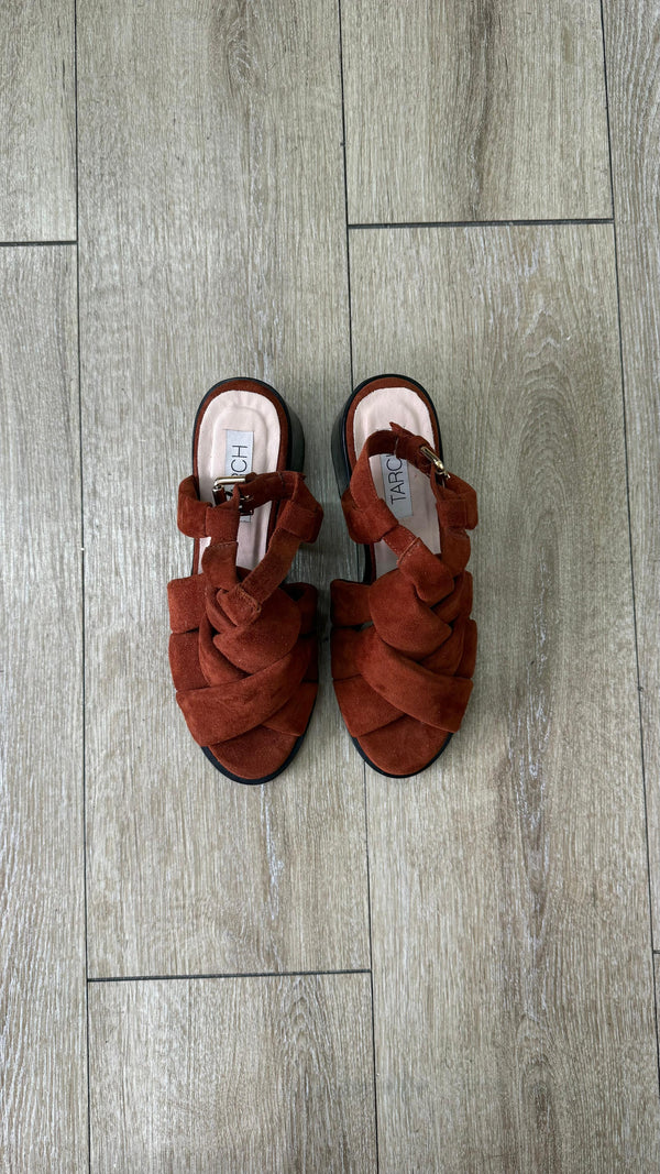 DALIA TERRACOTA